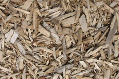 biomass boilers Chelmondiston